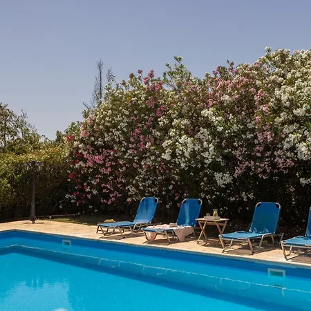 Tsikkos Tria Villa Polis